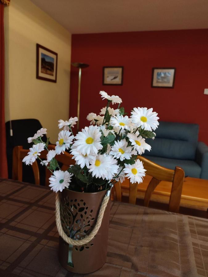 Apartamentos Casa Modesto Escalona Eksteriør bilde